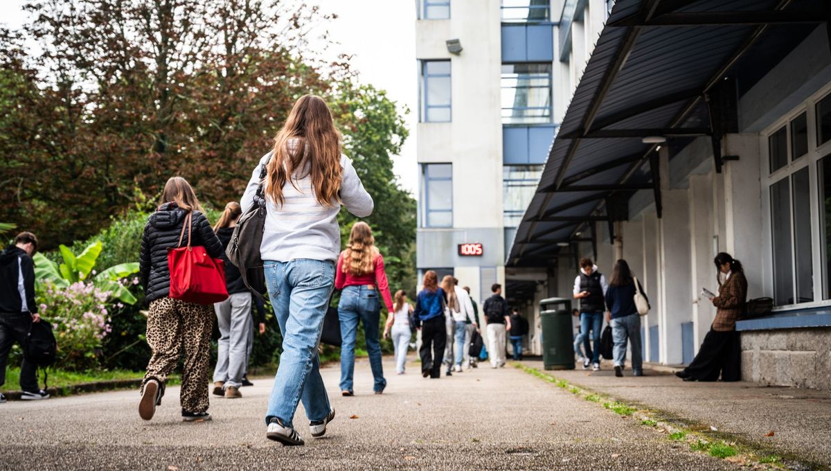 Rixe au lycée Rosa Parks